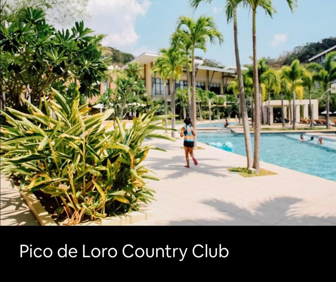Pico De Loro 2 Bd Garden Loft With Lagoon View Насугбу Экстерьер фото